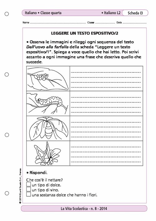 Leggere un testo espositivo/2 | Giunti Scuola Leggere un testo espositivo/2 | Giunti Scuola