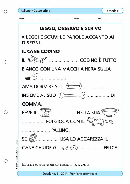 Leggo, osservo e scrivo | Giunti Scuola Leggo, osservo e scrivo | Giunti Scuola