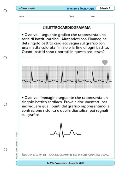 L'elettrocardiogramma | Giunti Scuola L'elettrocardiogramma | Giunti Scuola