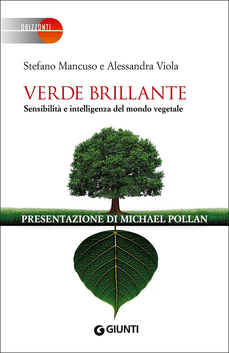 "Libri per conoscere e riflettere": "Verde brillante" di Stefano Mancuso e Alessandra Viola | Giunti Scuola
