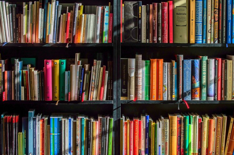 Libri “per la scuola di tutti i colori”, una bibliografia a cura del Cidi | Giunti Scuola Libri “per la scuola di tutti i colori”, una bibliografia a cura del Cidi | Giunti Scuola