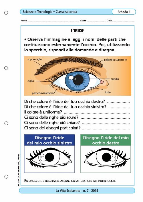 L'iride | Giunti Scuola L'iride | Giunti Scuola