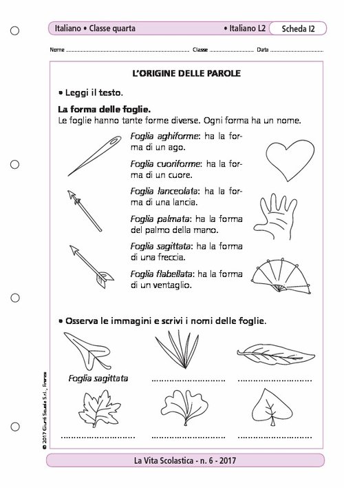 L'origine delle parole | Giunti Scuola L'origine delle parole | Giunti Scuola