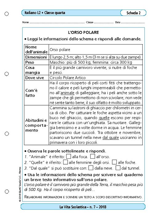 L'orso polare | Giunti Scuola L'orso polare | Giunti Scuola