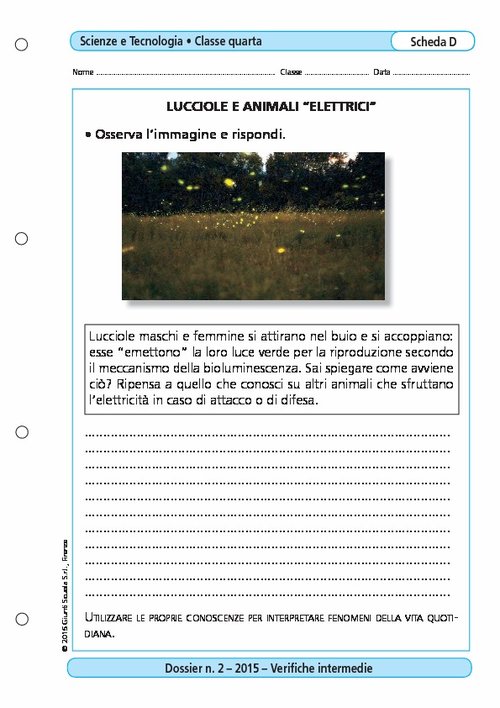 Lucciole e animali "elettrici" | Giunti Scuola Lucciole e animali "elettrici" | Giunti Scuola