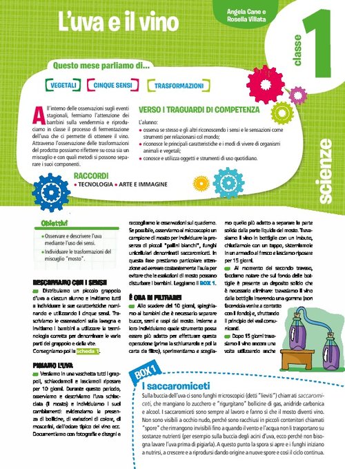L'uva e il vino | Giunti Scuola L'uva e il vino | Giunti Scuola