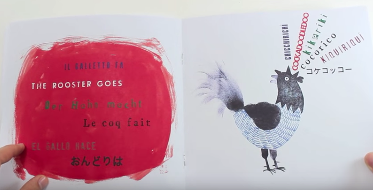 Ma il riccio come fa? I versi degli animali del mondo | Giunti Scuola Ma il riccio come fa? I versi degli animali del mondo | Giunti Scuola