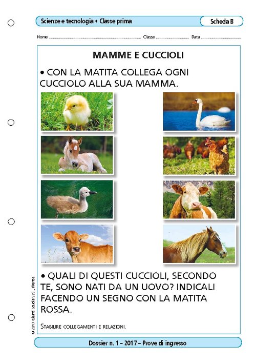 Mamme e cuccioli | Giunti Scuola Mamme e cuccioli | Giunti Scuola