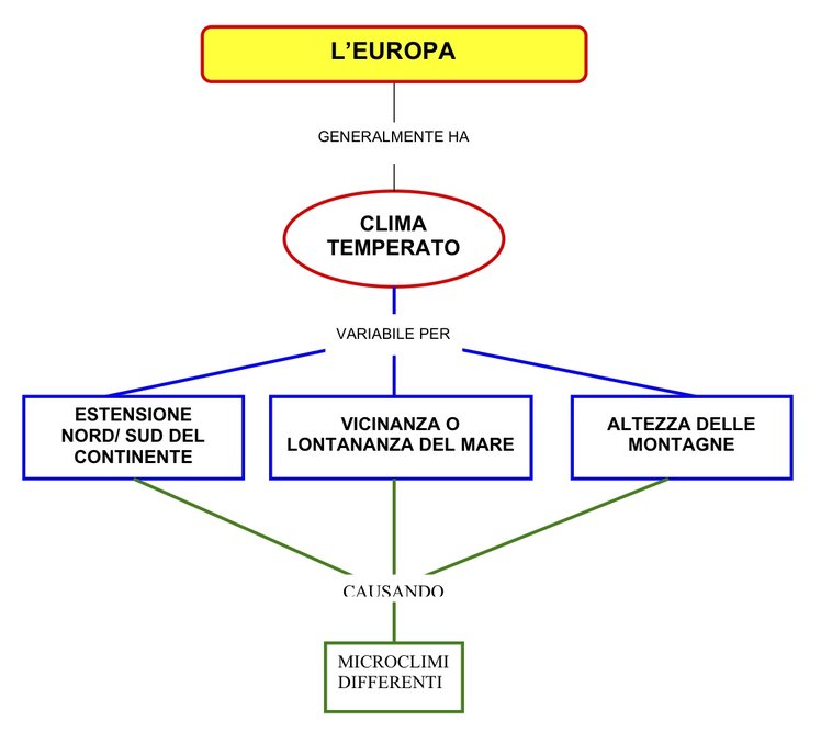 Mappe e schemi per imparare | Giunti Scuola