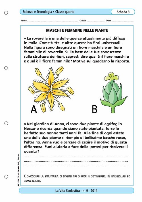 Maschi e femmine nelle piante | Giunti Scuola Maschi e femmine nelle piante | Giunti Scuola