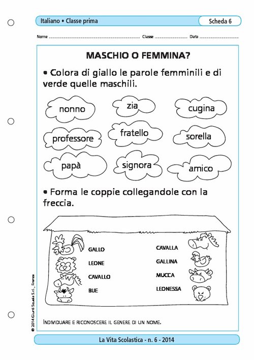 Maschio o femmina? | Giunti Scuola Maschio o femmina? | Giunti Scuola
