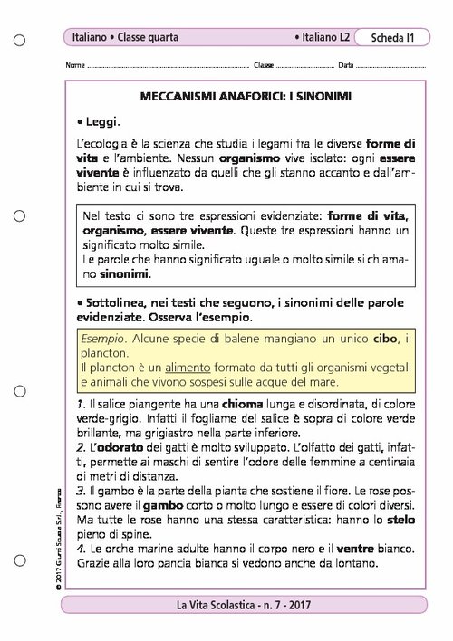 Meccanismi anaforici: i sinonimi | Giunti Scuola Meccanismi anaforici: i sinonimi | Giunti Scuola