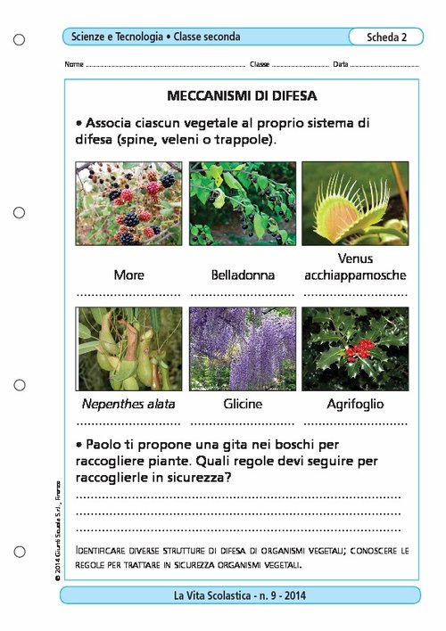 Meccanismi di difesa | Giunti Scuola Meccanismi di difesa | Giunti Scuola
