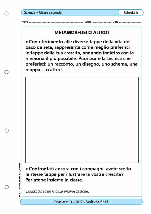 Metamorfosi o altro? | Giunti Scuola Metamorfosi o altro? | Giunti Scuola