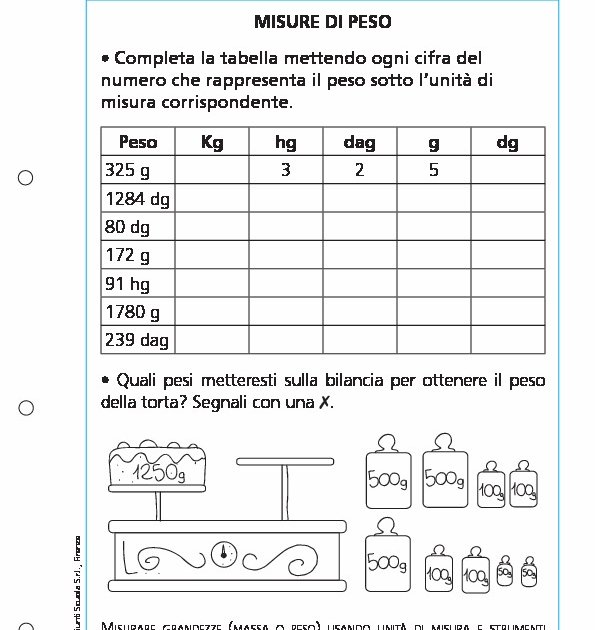 Porta Di Prova In Acciaio PD222 Con Giunti Rapidi – Attrezzatura Diagnostica 1/8 NPTF