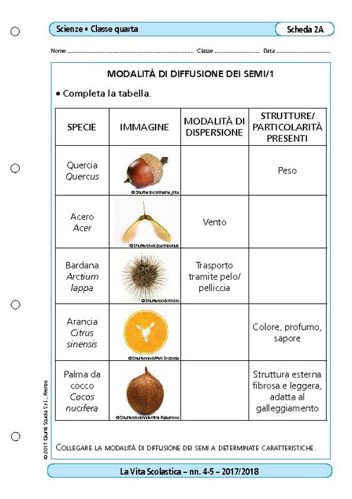 Modalità di diffusione dei semi/1 | Giunti Scuola Modalità di diffusione dei semi/1 | Giunti Scuola