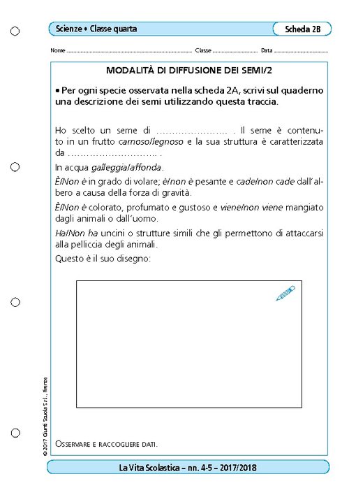 Modalità di diffusione dei semi/2 | Giunti Scuola Modalità di diffusione dei semi/2 | Giunti Scuola