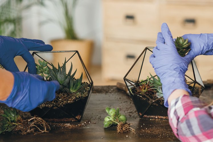 Nel laboratorio di Scienze | Giunti Scuola