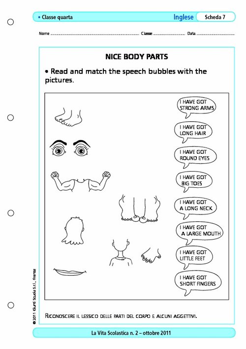 Nice body parts | Giunti Scuola