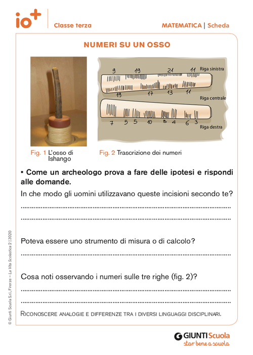 Numeri su un osso | Giunti Scuola Numeri su un osso | Giunti Scuola