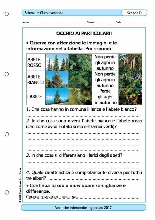 Occhio ai particolari | Giunti Scuola Occhio ai particolari | Giunti Scuola