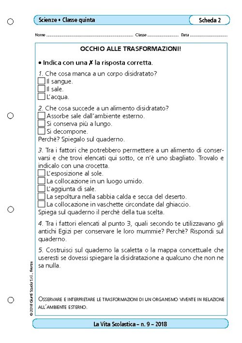 Occhio alle trasformazioni | Giunti Scuola Occhio alle trasformazioni | Giunti Scuola