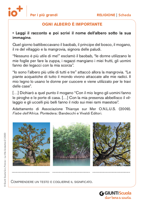 Ogni albero è importante | Giunti Scuola Ogni albero è importante | Giunti Scuola