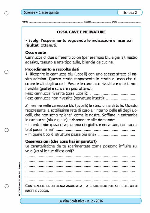 Ossa cave e nervature | Giunti Scuola Ossa cave e nervature | Giunti Scuola