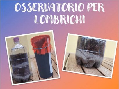 Osservatorio per lombrichi | Giunti Scuola Osservatorio per lombrichi | Giunti Scuola