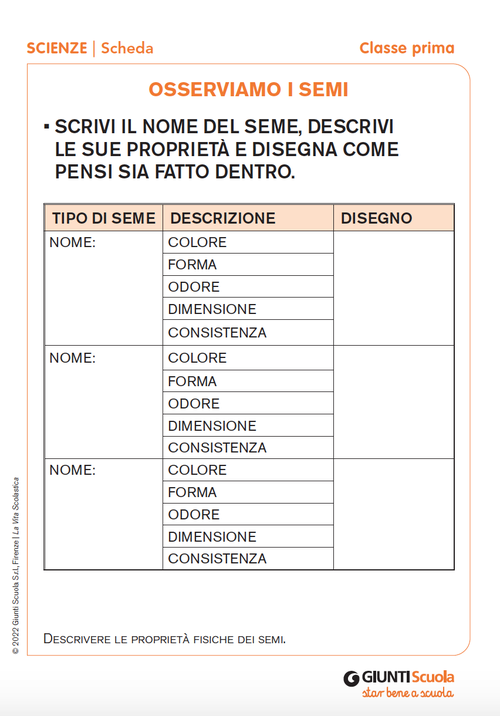Osserviamo i semi | Giunti Scuola Osserviamo i semi | Giunti Scuola