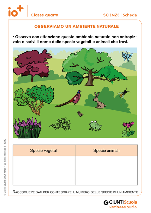 Osserviamo un ambiente naturale | Giunti Scuola Osserviamo un ambiente naturale | Giunti Scuola
