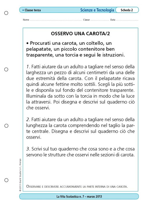 Osservo una carota/2 | Giunti Scuola Osservo una carota/2 | Giunti Scuola