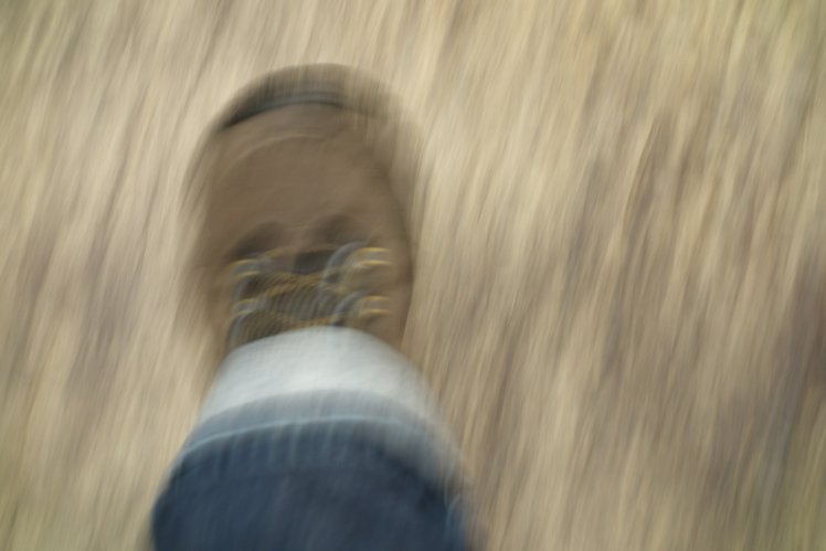 “Pan, perché gridi tanto?”: un dialogo tra gli adolescenti e il panico | Giunti Scuola “Pan, perché gridi tanto?”: un dialogo tra gli adolescenti e il panico | Giunti Scuola