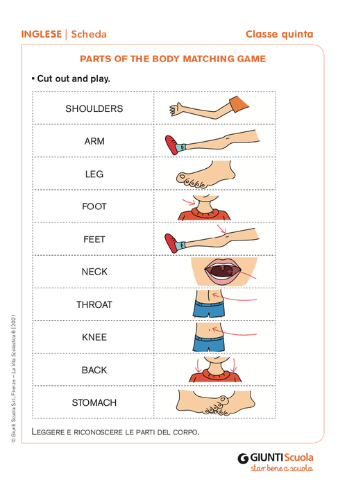 Parts of the body matching game | Giunti Scuola Parts of the body matching game | Giunti Scuola