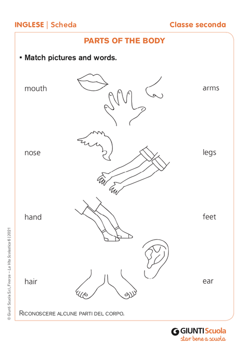 Parts of the body | Giunti Scuola Parts of the body | Giunti Scuola