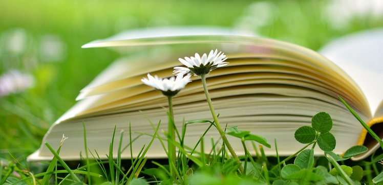 Perché faccio quello che faccio? Riflettere sull'agire educativo | Giunti Scuola Perché faccio quello che faccio? Riflettere sull'agire educativo | Giunti Scuola