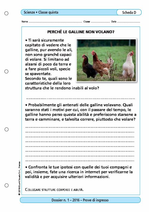 Perché le galline non volano? | Giunti Scuola Perché le galline non volano? | Giunti Scuola