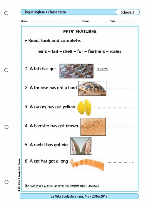 Pets' features | Giunti Scuola Pets' features | Giunti Scuola