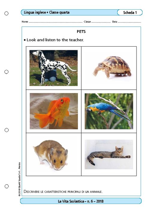 Pets | Giunti Scuola Pets | Giunti Scuola