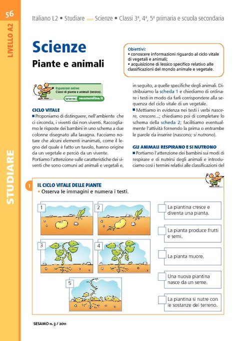 Piante e animali | Giunti Scuola Piante e animali | Giunti Scuola