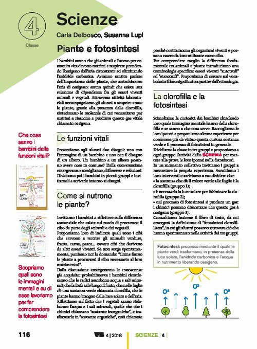 Piante e fotosintesi | Giunti Scuola Piante e fotosintesi | Giunti Scuola
