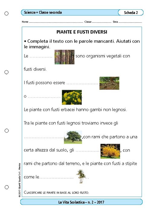 Piante e fusti diversi | Giunti Scuola Piante e fusti diversi | Giunti Scuola