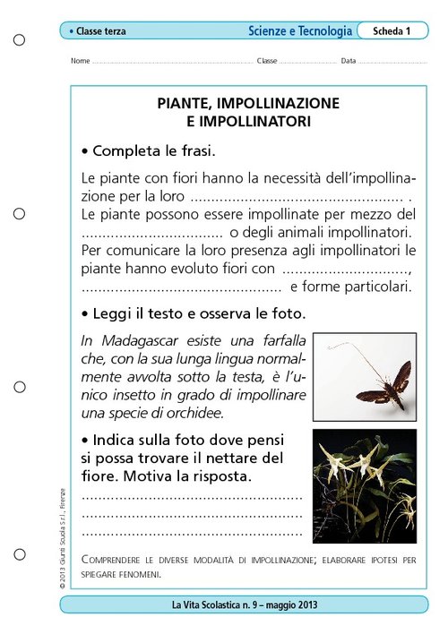Piante, impollinazione e impollinatori | Giunti Scuola