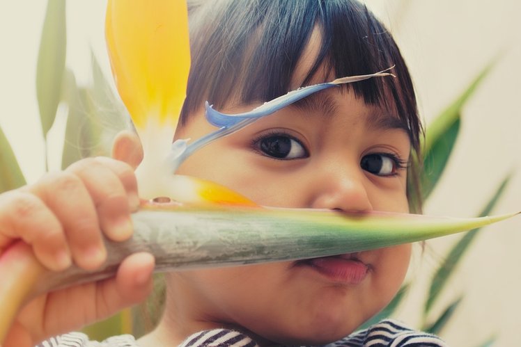 Piante pericolose per i piccoli: i consigli del pediatra | Giunti Scuola