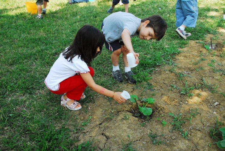 Piccoli semi, grandi potenzialità | Giunti Scuola