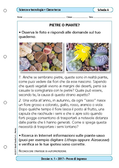 Pietre o piante? | Giunti Scuola Pietre o piante? | Giunti Scuola