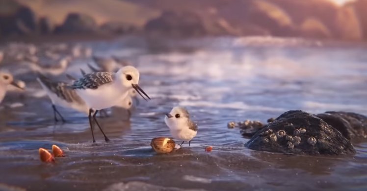 Piper e la paura | Giunti Scuola Piper e la paura | Giunti Scuola
