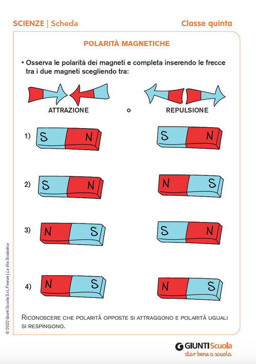 Polarità magnetiche | Giunti Scuola Polarità magnetiche | Giunti Scuola