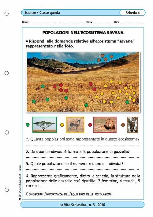 Popolazioni nell'ecosistema savana | Giunti Scuola Popolazioni nell'ecosistema savana | Giunti Scuola