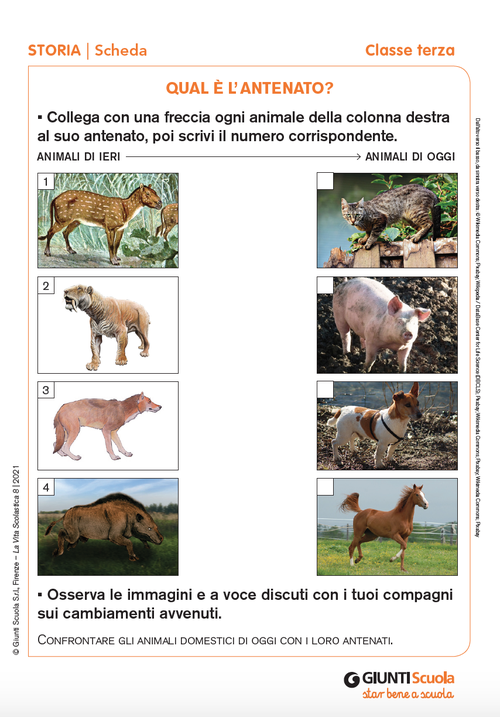 Qual è l'antenato? | Giunti Scuola Qual è l'antenato? | Giunti Scuola